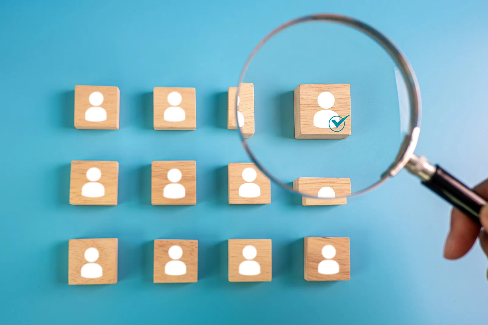 Job Searching in 2026 What You Must Know
